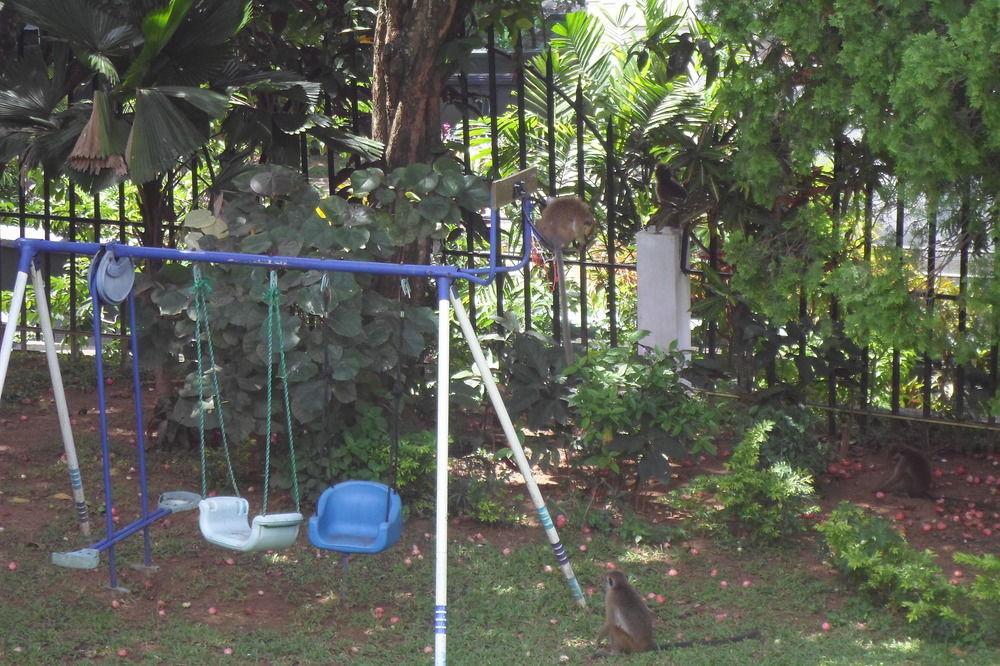 Kandy Green View Bungalow Kültér fotó