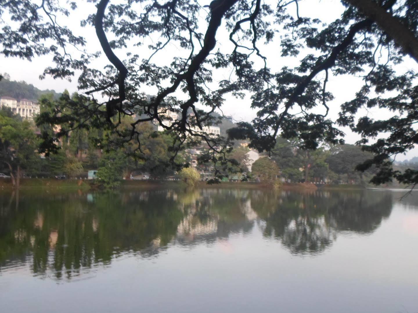Kandy Green View Bungalow Kültér fotó